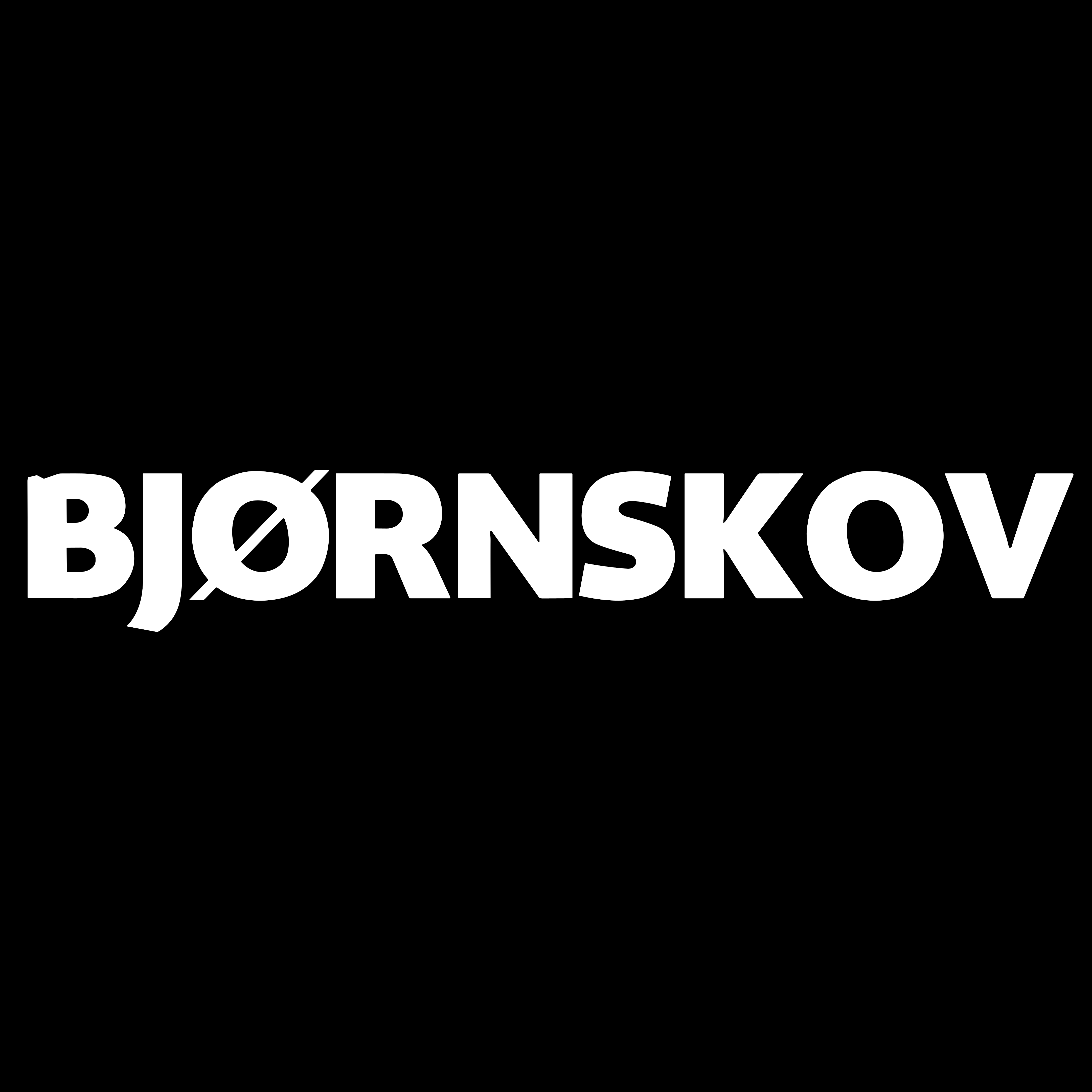 Steen Bjørnskov Aps